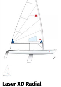 Se vende Laser Radial XD